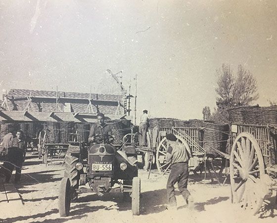 Historia de Ricardo Dumas