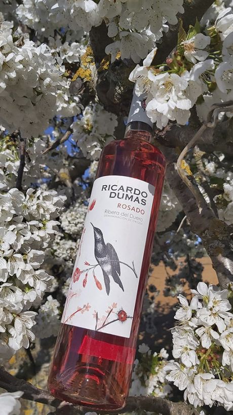 Vino Rosado Ricardo Dumas D.O Ribera del Duero