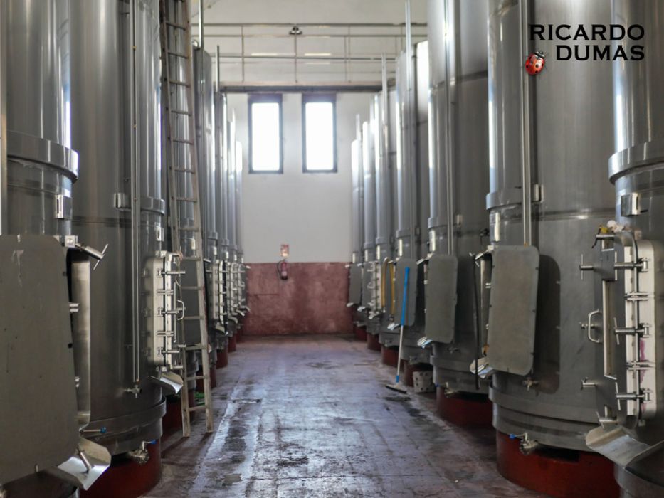 ¿Qué son los remontados del vino?