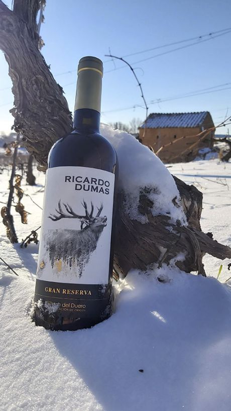 Vino Gran Reserva Ricardo Dumas D.O Ribera del Duero