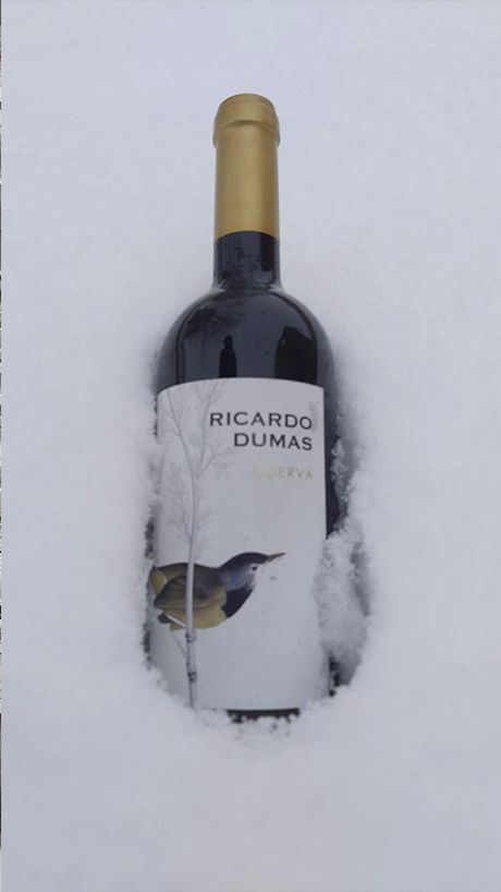 Vino Reserva Ricardo Dumas D.O Ribera del Duero