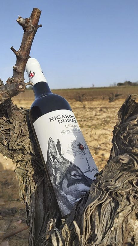 Vino Crianza Ricardo Dumas D.O Ribera del Duero