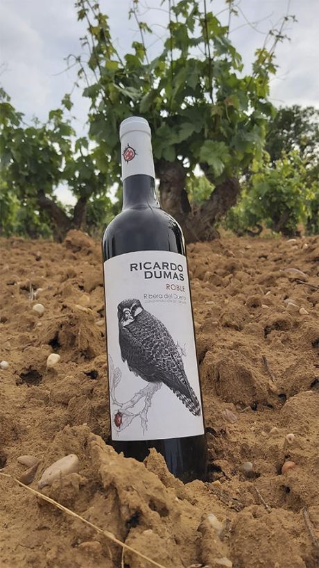 Vino Roble Ricardo Dumas D.O Ribera del Duero